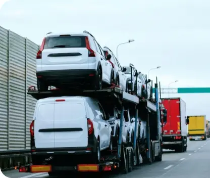 Transporte Terrestre